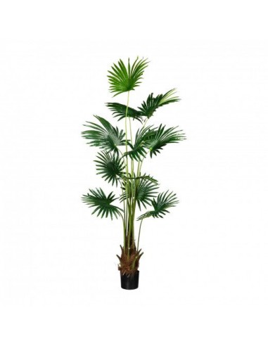 Plante artificielle en pot, Fan Palm Vert, H180 cm les ctes