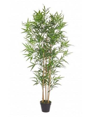 Plante artificielle en bambou, H155 cm en ligne